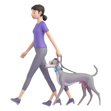 Beautiful Asian girl walking a completely solid grey Italian greyhound with a grey nose, no white markings anywhere, no white on the nose, pure grey dog sticker