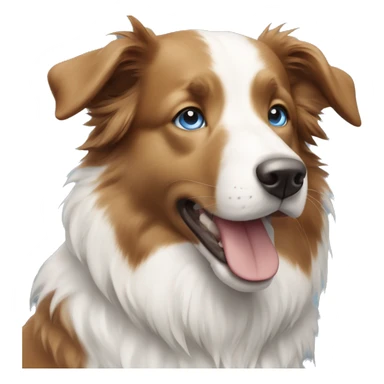A white and light brown border collie, with one blue eye and one blue and brown  sticker