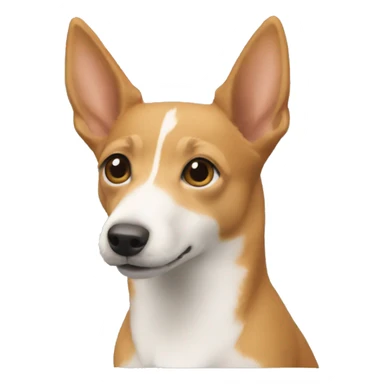 podengo pequeno sticker