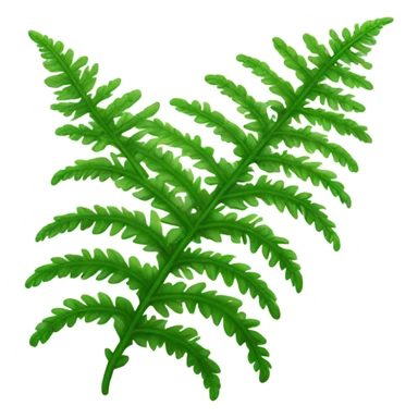 Fern sticker