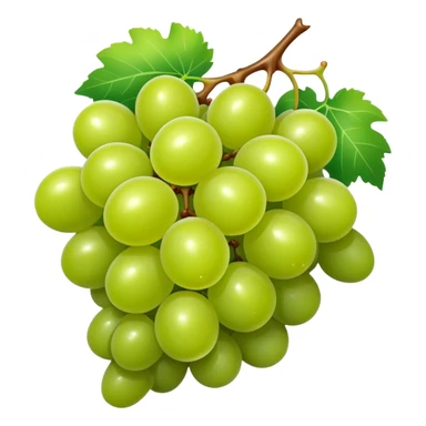 Generate an image of a singular green grape sticker