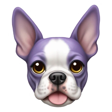 Lilac Boston terrier  sticker