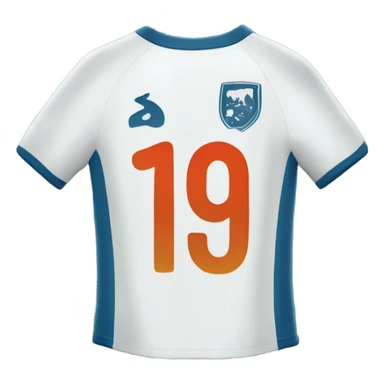 the back of a soccer jersey with the number 19 sticker