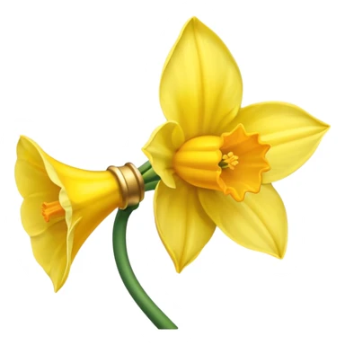 daffodil sticker