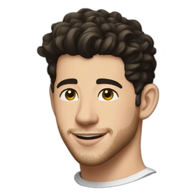Nick jonas sticker