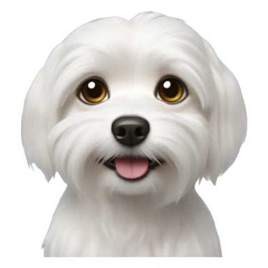Coton de tulear chihuahua mix sticker
