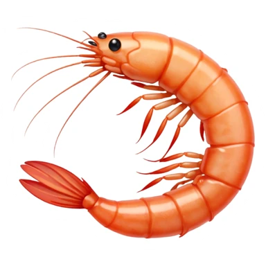 White shrimp  sticker