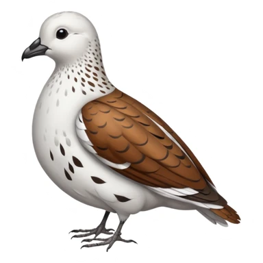 Male Rock Willow Ptarmigan sticker