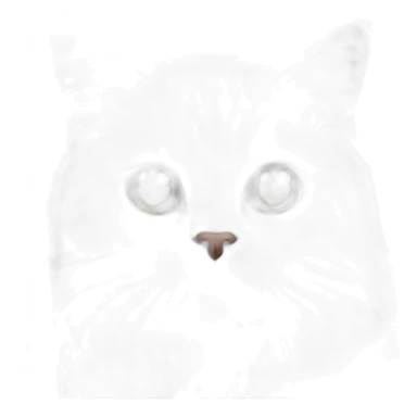 Chat sacré de birmanie sticker