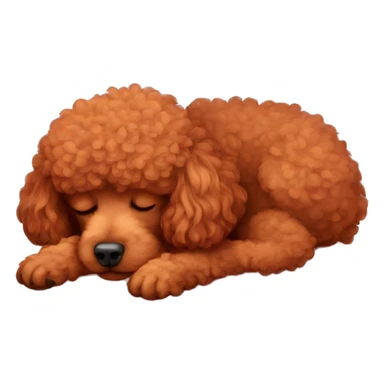 Red poodle sleep  sticker