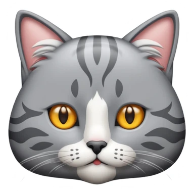 graue fluffige katze brittisch lang haar katze keine falten auf der stirn graue nase süß sticker