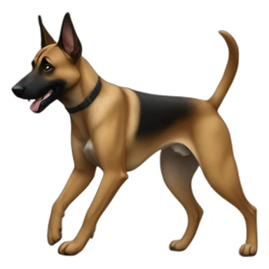 Dog malinois traking sticker