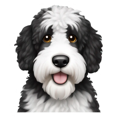 black and white sheepadoodle dog with brown eyes sticker