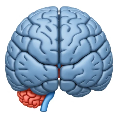 The brain has blue hemispheres and grey hemispheres sticker