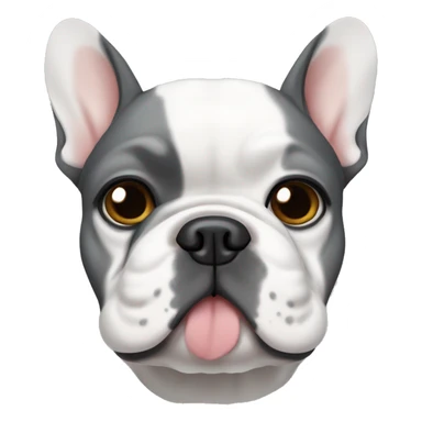 a gray and white French bulldog whose muzzle is divided in half into two colors sticker