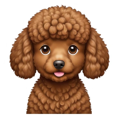 Brown poodle sticker
