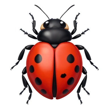 lady bug
























































 sticker