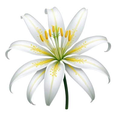 Beach spider lily flower sticker