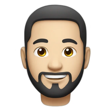 Haval Jolion sticker