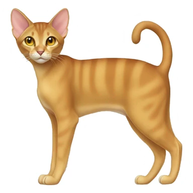 Chausie Cat Full Body sticker