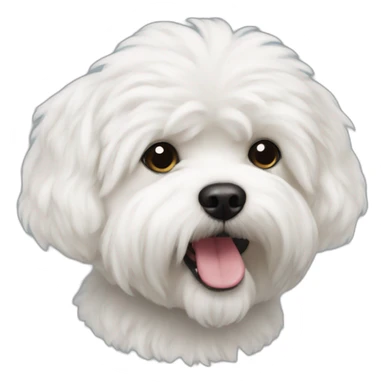 Bichon Havanais sticker