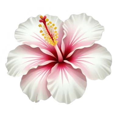 White hibiscus  sticker