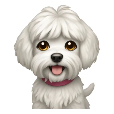 Maltipu dog sticker