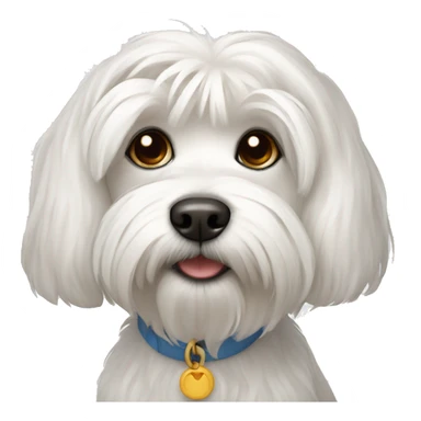 Dog Maltese sticker