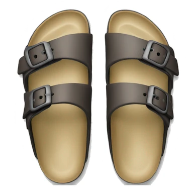 Birkenstocks sticker