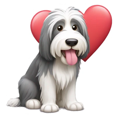 Bearded collie sit and holds a heart in his hands sticker