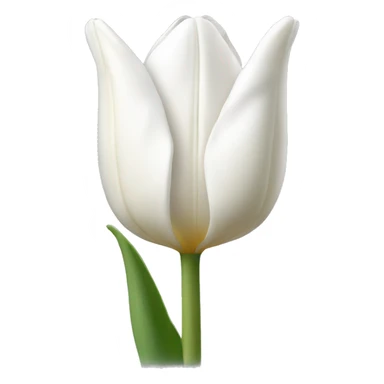 White tulip flower sticker