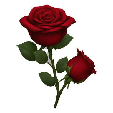 Dark red roses  sticker