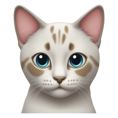 CAT with Heart eyes sticker