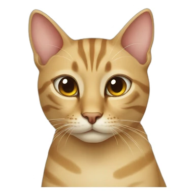 tunisia cat sticker