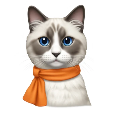 Blue point Ragdoll cat wearing an orange apron  sticker