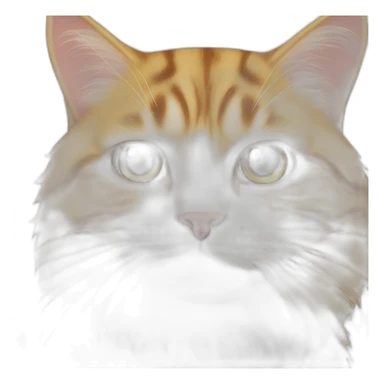 Trump as a cat sticker