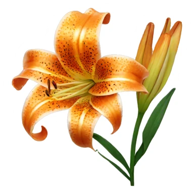 orange tiger lily flower sticker