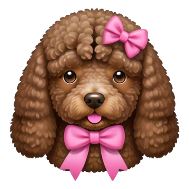 Brown Spanish water dog sitting with a pink bow sticker