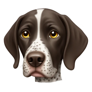 German short haired pointer  sticker