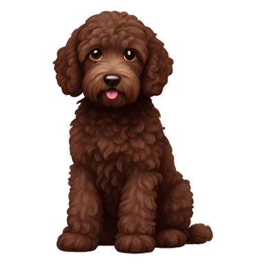 Mini chocolate labradoodle sitting down sticker