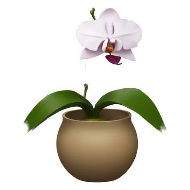 Ikebana orchid sticker