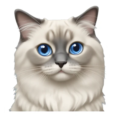 ragdoll blue mitted playing  sticker