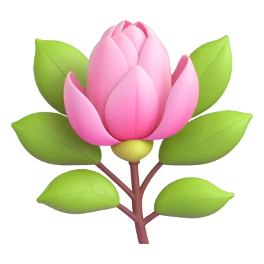 3D icon of a magnolia bud with pinkish tint and glossy green leaves, modern look sticker