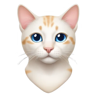 a flame point male cat with blue eyes and pink nose, and little black flecks on his nose  sticker