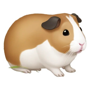 Guineapig eating  a strand of long grass hay  sticker