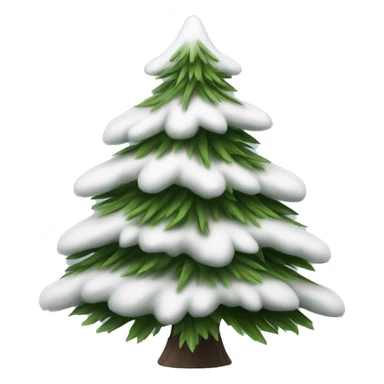  actual white fir christmas tree isolated.  sticker