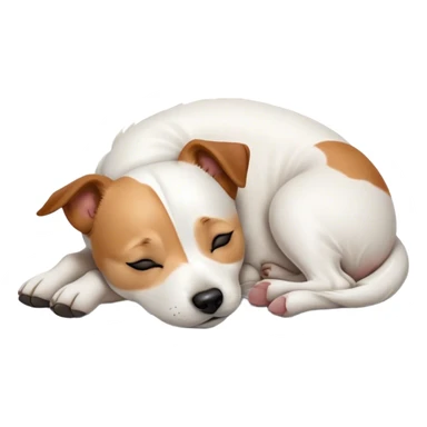 Meme-Worthy Cute Sleeping Jack Russell Terrier Portrait Emoji, Head and body resting peacefully with a contented smile, showcasing a compact, alert yet relaxed form with eyes gently closed in serene slumber, Simplified yet adorably endearing features, highly detailed, glowing with a soft, drowsy canine light, high shine, relaxed and utterly lovable, stylized with an air of playful laziness, soft glowing outline, capturing the essence of a sleeping Jack Russell Terrier that feels destined to become the next viral icon of adorable rest! sticker