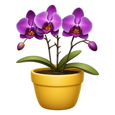Purple Orchid in a yellow pot sticker