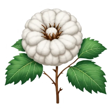 Cotton plant no face sticker
