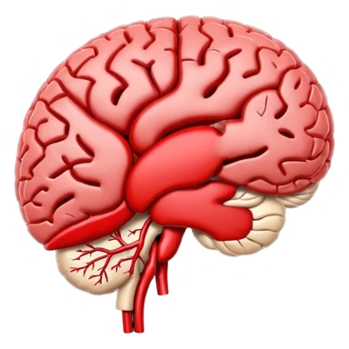 brain with red vessel ischemic sticker